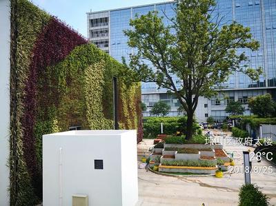 坪山区政府餐厅立体绿化
