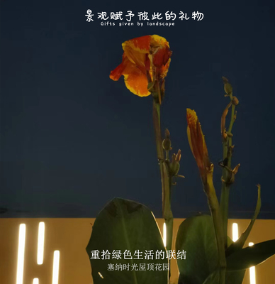 塞纳时光