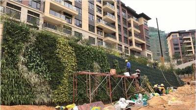 惠州星河丹堤垂直绿化植物墙