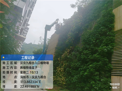 汉京植物墙造景