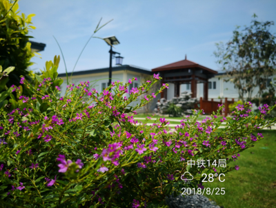 坪山区中铁14局深圳轨道交通16号线项目部景观工程